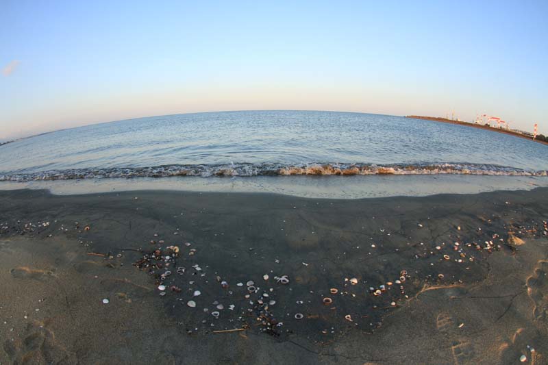 c0177785_5264946.jpg