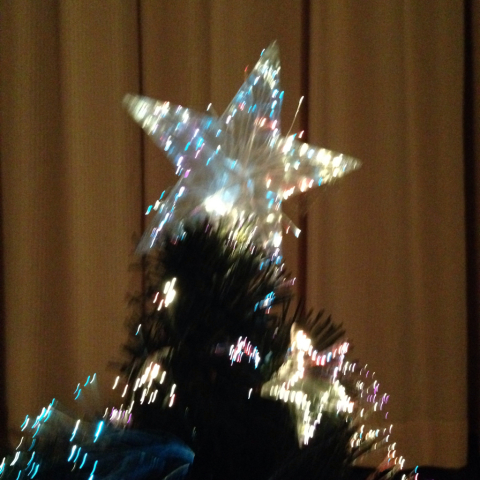 Merry Christmas☆_d0233891_11443757.jpg