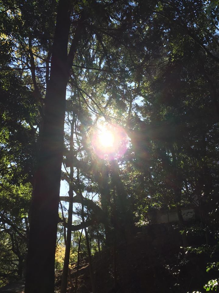 e0233191_22594862.jpg