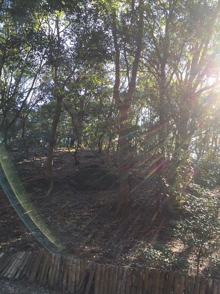 e0233191_23132479.jpg