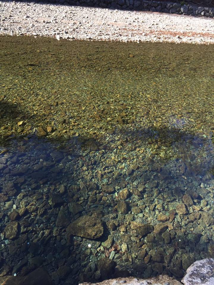 e0233191_23242352.jpg