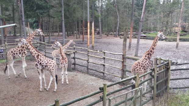 e0344492_04080264.jpg