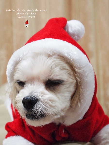 サンタくうのクリスマス - cahier de la photo de chai 2nd
