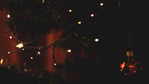 a0285796_14562065.gif