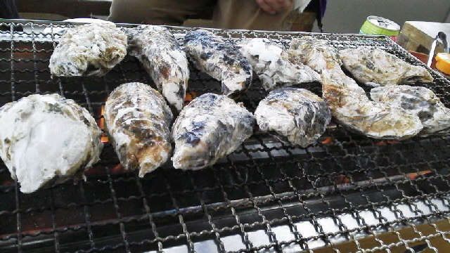 f0035996_1452111.jpg