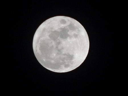 a0125598_22004618.jpg