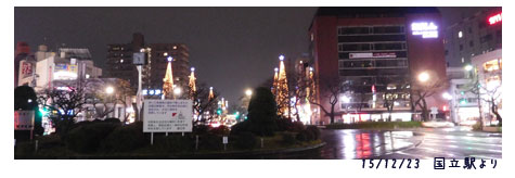 年の瀬 (X’masイブ)(孫とskype)(キウイ)(孫のピアノ)_c0051105_213077.jpg