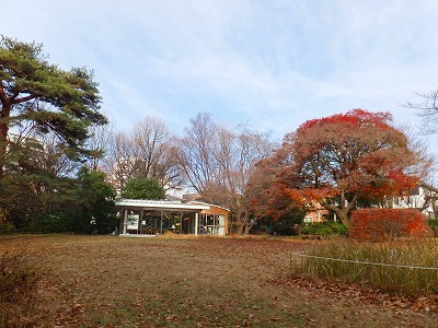 年末年始休園のお知らせ_b0049307_7401314.jpg