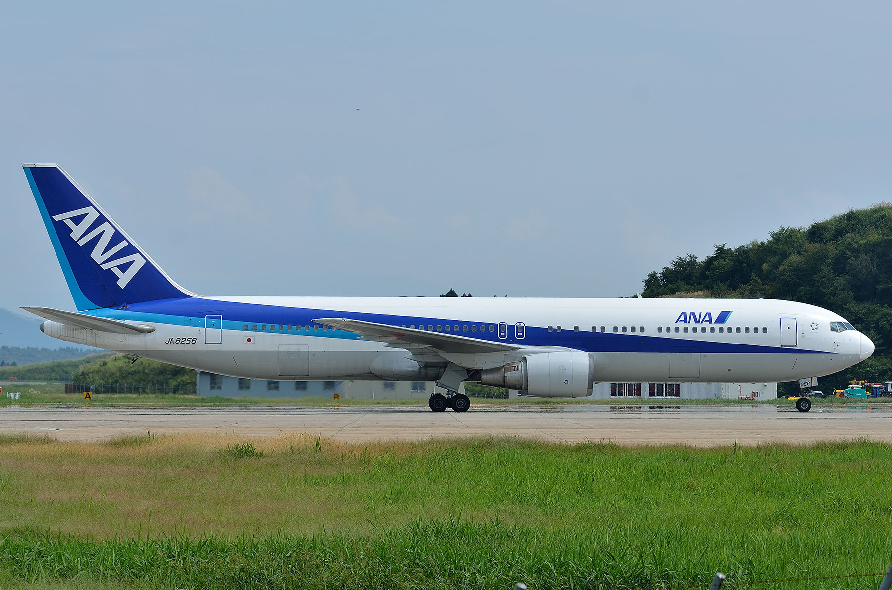 ANA Boeing 767BCFネクタイピン JA8286（ANA、767-300BCF