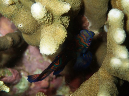f0110213_52465.jpg