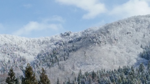 f0357714_16342421.jpg