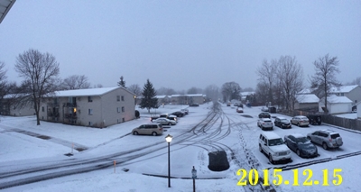 b0120541_22325355.jpg