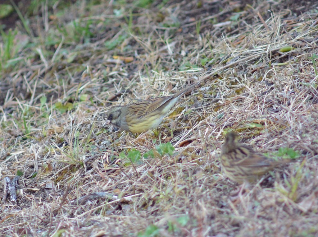 c0349842_22411691.jpg