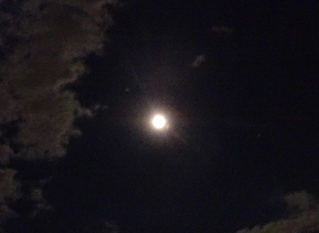 e0172950_8362046.jpg