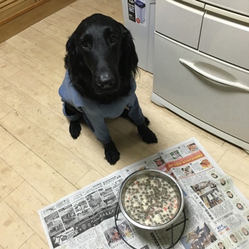 f0095152_05484059.jpeg