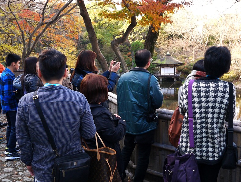 　　和歌山城公園にて_b0093754_2326260.jpg