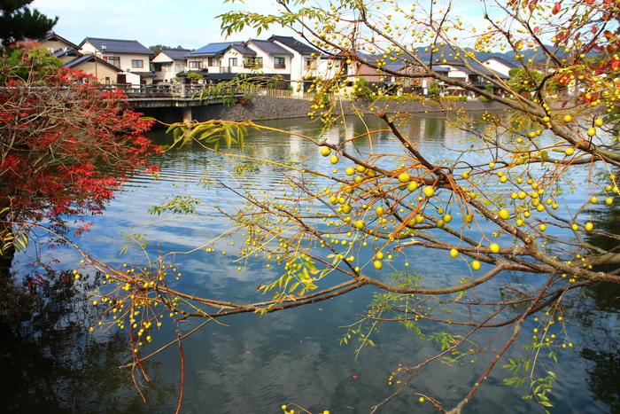 2015秋旅☆島根 ～その8　塩見縄手～_e0232054_18423018.jpg