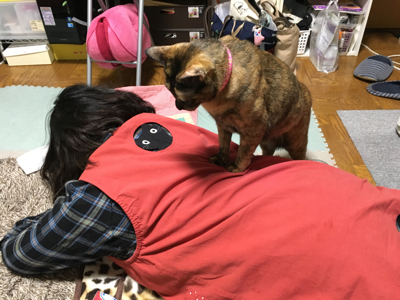 親孝行な猫？_b0271157_11121245.jpg