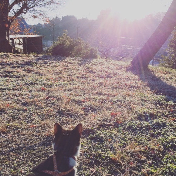 b0340858_10034196.jpeg
