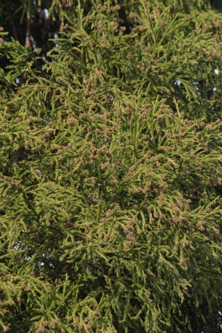 a0248459_16144683.jpg