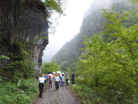a0254759_0131037.jpg