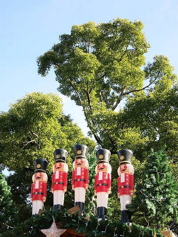 健康支援者の芸風とは?_b0141773_22224636.jpg