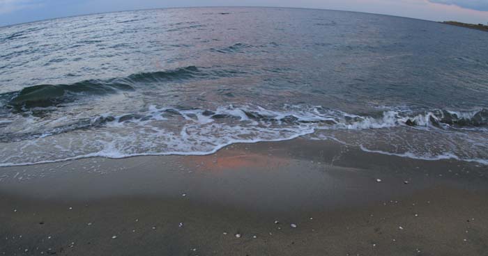 c0177785_61216.jpg