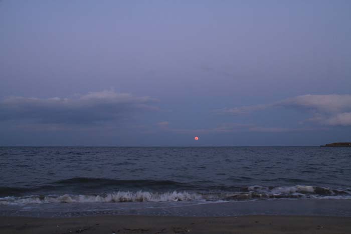 c0177785_681751.jpg
