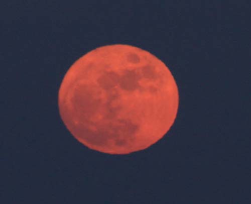 c0177785_695356.jpg