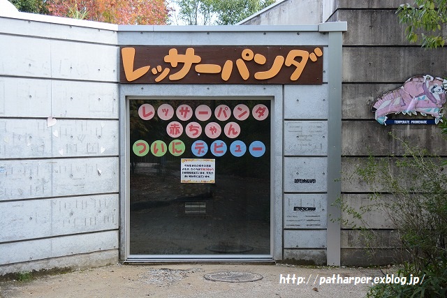 ２０１５年１１月　とくしま動物園　その１　いまいち乗り気でないポロロ_a0052986_0161318.jpg