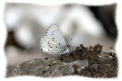 d0353091_21295826.jpg