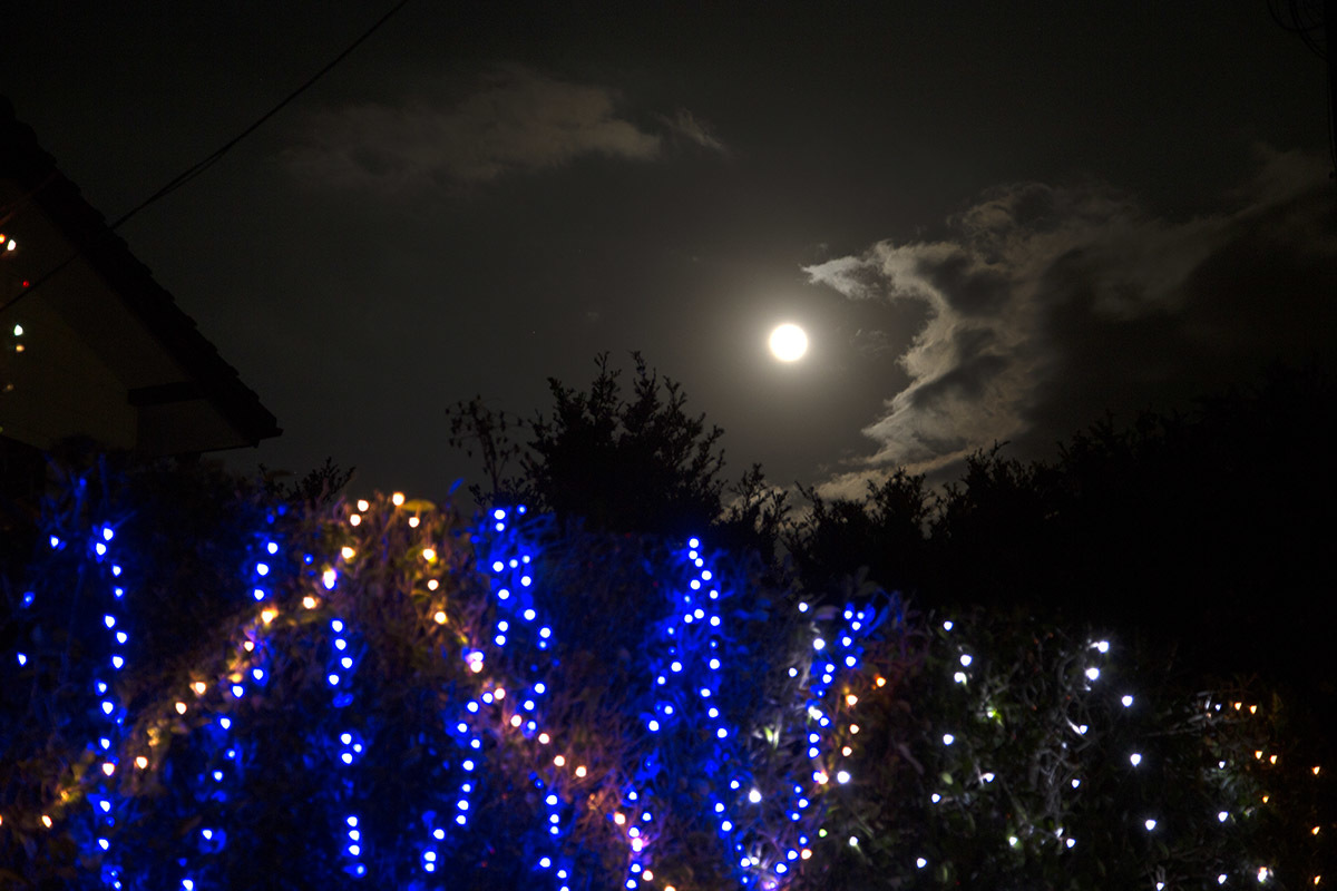 12月25日 クリスマスの満月_e0174091_12081444.jpg