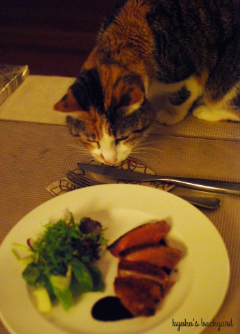 ローストグース + 猫_b0253205_06325853.jpg