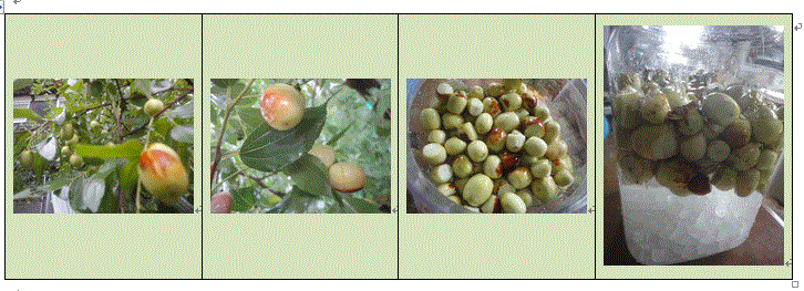 f0231709_10332731.gif