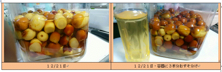 f0231709_1035546.gif