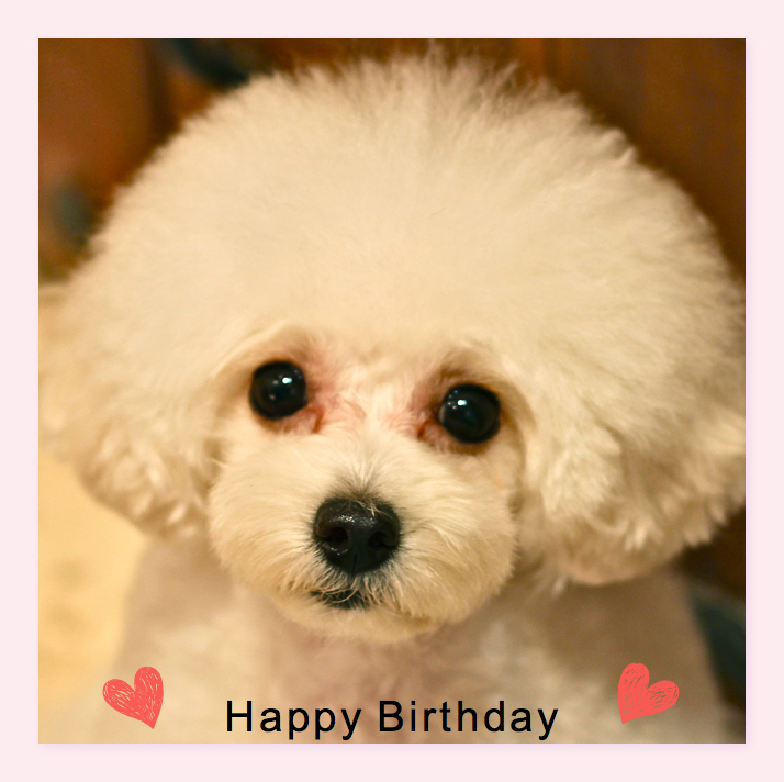 Happy Birthday♡レナちゃん&ノアちゃん♡_d0060413_2052505.jpg