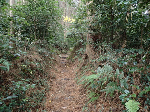 e0293913_23152021.jpg