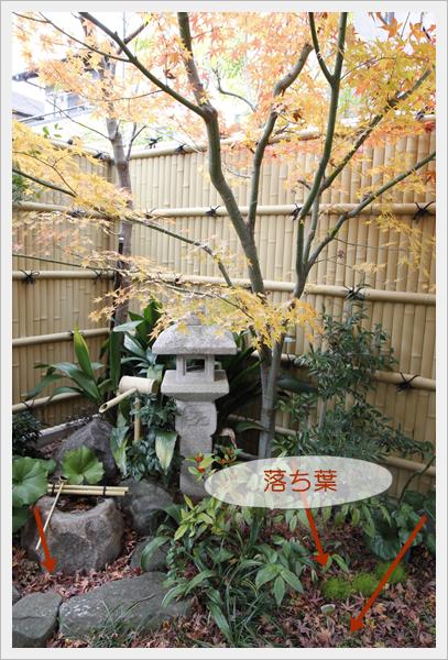 坪庭の紅葉がきれい 落ち葉掃除をお礼に 手ごねパンの時間olive 奈良 大阪
