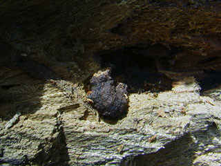 c0346119_23195673.jpg