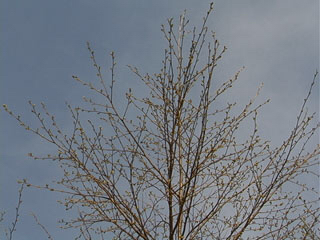 c0346119_23195698.jpg