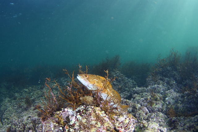 f0206424_9815.jpg