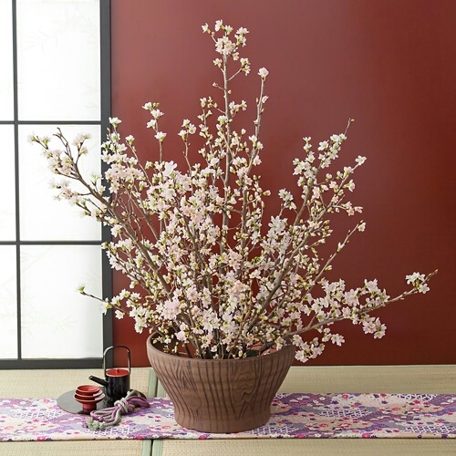 お正月贈答品 桜 アレンジメント Mの部屋 お正月贈答品 桜 アレンジメント Mの部屋
