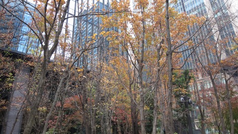 e0202031_184963.jpg