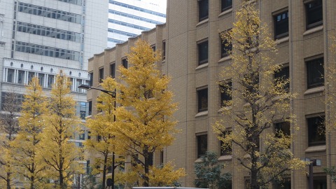 e0202031_18575282.jpg