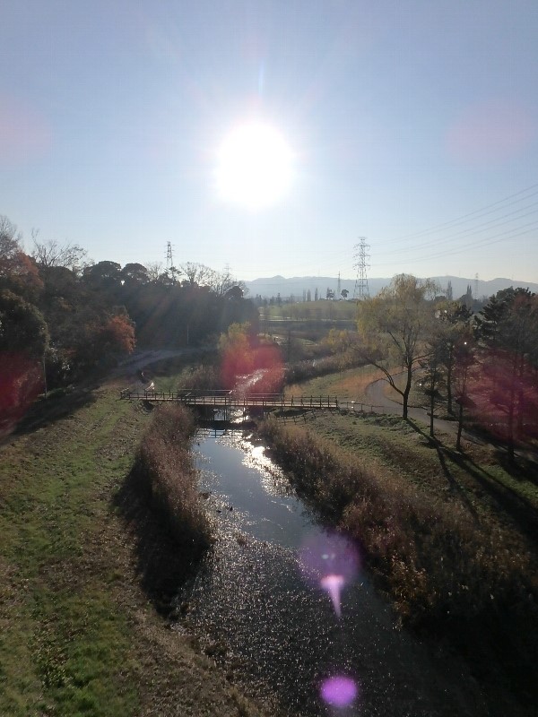 強化合宿に負けるな①_c0113733_23131651.jpg