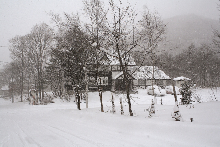 やっと雪積もりました_d0012134_17292498.jpg