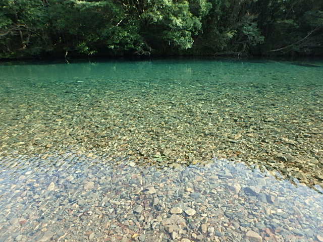 c0183137_20245514.jpg