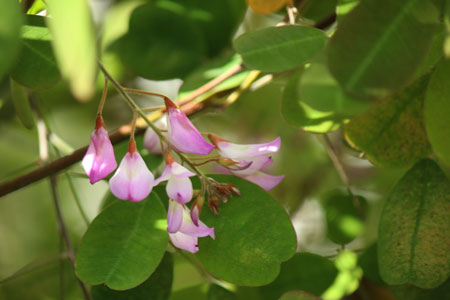 c0068639_1785352.jpg