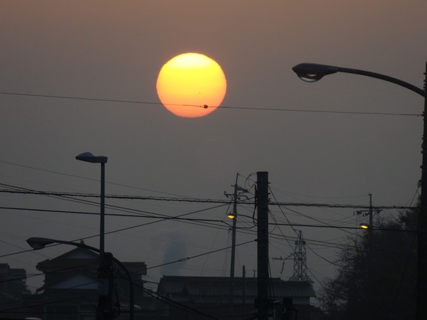 a0054240_20552462.jpg