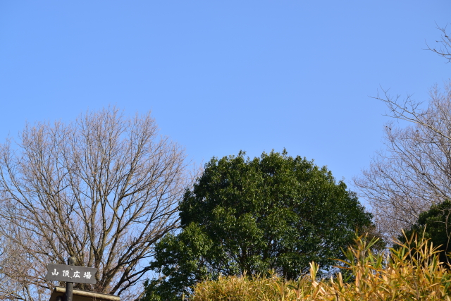 c0339546_8141245.jpg